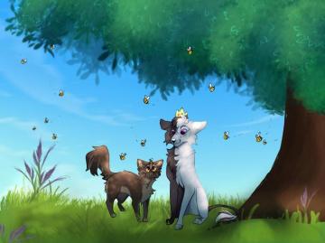 Beeduo By Honeyybird