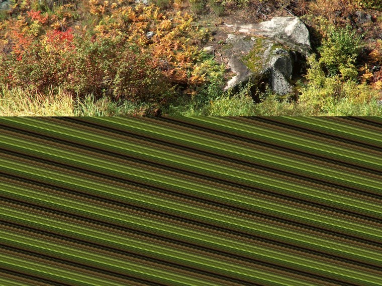 Thanksgiving Day Wallpaper Scene