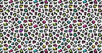 Colorful Animal Print Wallpaper For