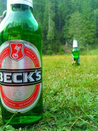 Green Beers Grass Wallpaper