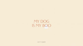 My Dog Is Boo Halloween Quote Screensaver