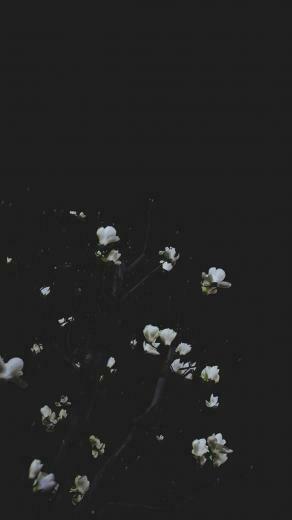 Take A Chill Pill With Mindful iPhone Wallpaper Preppy