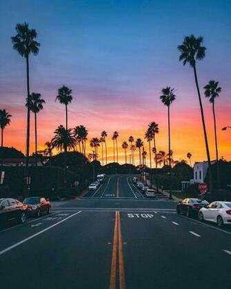 Dreams Only Come True If You Point Yourself In Their Direction