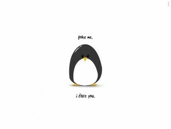 Cute Penguin Wallpaper HD