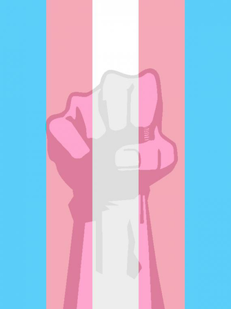 Transgender Wallpaper Gallery