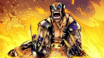 Wolverine Computer Wallpaper Desktop Background Id