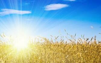 Beautiful High Resolution Wallpaper Ukrainian Flag The Blue Sky And