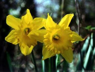 Special People North Easter Dementia World Autism Awareness Day 2nd