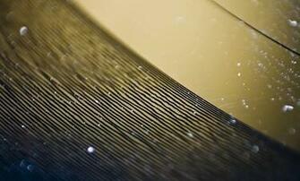 Create Your Own Vinyl Crackle Background Noise With This App