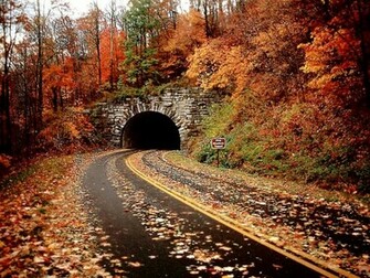 Image Of Nature Beauty
