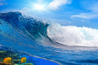 Fish Sea Waves Nature Wallpaper HD