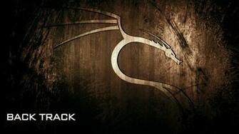 Backtrack Wallpaper The Hacking Bug