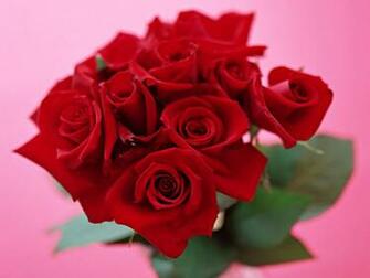 And Wallpaper HD Valentine Flower