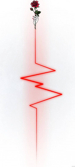 Captivating Rose Line Redmi Note Punch Hole Wallpaper