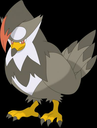 Staraptor Pokemon Png Image With No