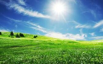 Grasslands Wallpaper Most Beautiful Places
