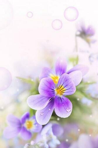 Flower Mobile Phone Wallpaper HD Img