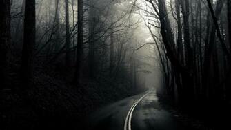 Dark Forest Road HD Wallpaper Id
