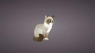 Wallpaper Grumpy Cat Meme Full HD 1080p Background