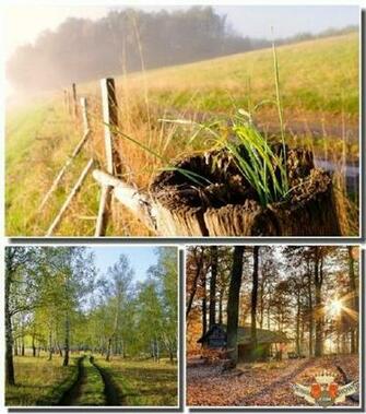 Amazing Nature Photo Collection For Pc Desktop Green Meadows Trees