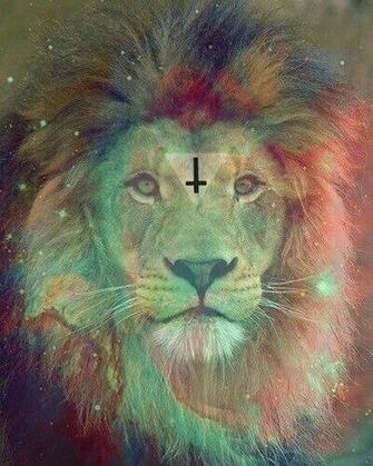 Gingrhart Lion Trippy Funnn Hit