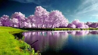 Home Nature Landscapes Desktop Wallpaper Spring