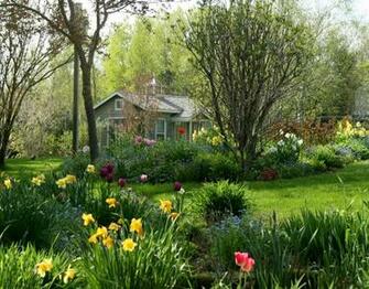 Home Spring Flowers Garden Wallpaper