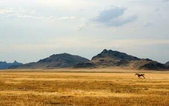 Wild West Wallpaper And Image Pictures Photos