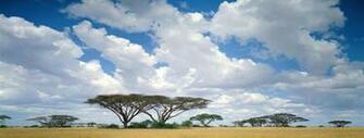 Masai Mara Game Reserve Kenya Wallpaper Kepler
