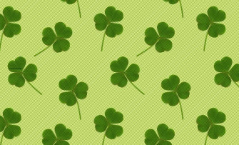 Shamrock 4k Wallpaper
