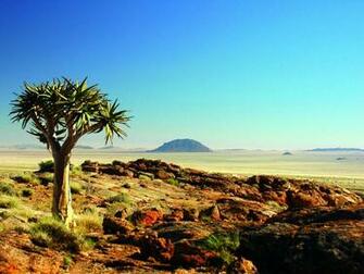 Scenery Wallpaper Background Photos Imageand Pictures For