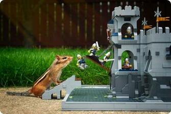 Lego Castles Fences Animals Grass Funny Stairways