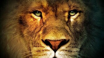 Face Of A King Wallpaper HD