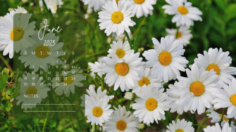 And Customizable Summer Desktop Wallpaper Templates