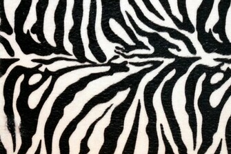Amper Bae Zebra Print Background