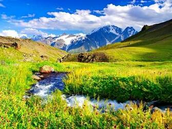 Mountain Stream Wallpaper