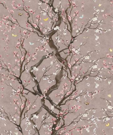 Plum Blossom Wallpaper Teahub Io
