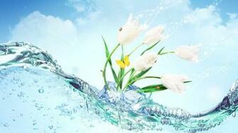 Flowers Wallpaper HD Widescreen