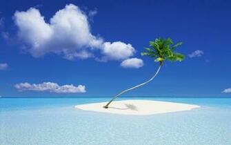 Nature Wallpaper Background