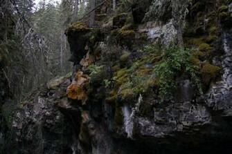 Sendero De Rocas Johnston Canyon Fondo Pantalla