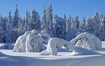 Select Set As Desktop Background Wallpaper Nature Seasons