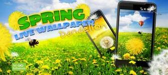 Spring Live Wallpaper Dandelion