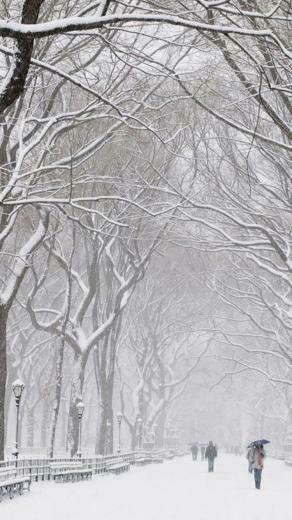 Winter Wallpaper iPhone Street