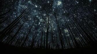 Photos Manipulation Forest Nigth Full Of Stars Background Desktop