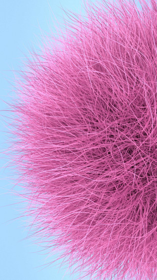 Fur Wallpaper