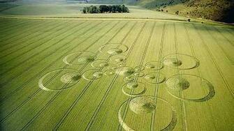 Man Made Crop Circles HD Wallpaper Desktop Background