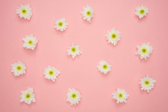 White Flowers Wallpaper