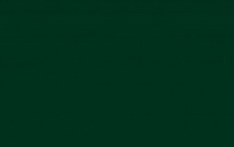 Resolution Dark Green Solid Color Background And