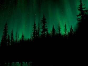 Northern Lights Wallpaper The Desktop