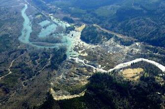 Snohomish Mudslide Landslide Nature Natural Disaster